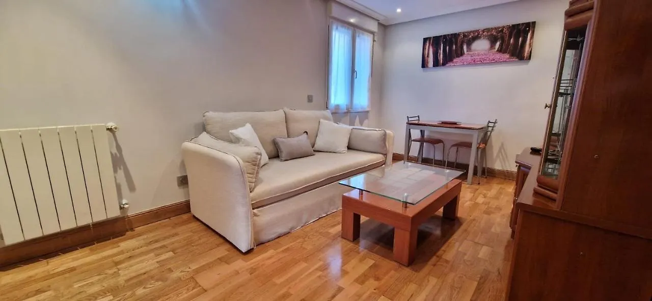 Family Apartment / Apartamento Familiar Getxo 0*,